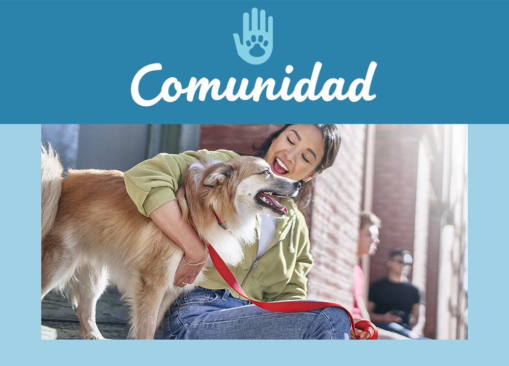 Imagen relacionada con comunidad