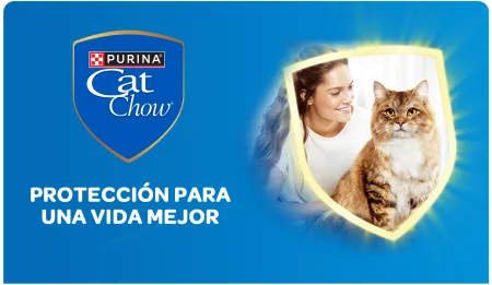 Cta-CatChow.png.webp?itok=HZBu-Xrw