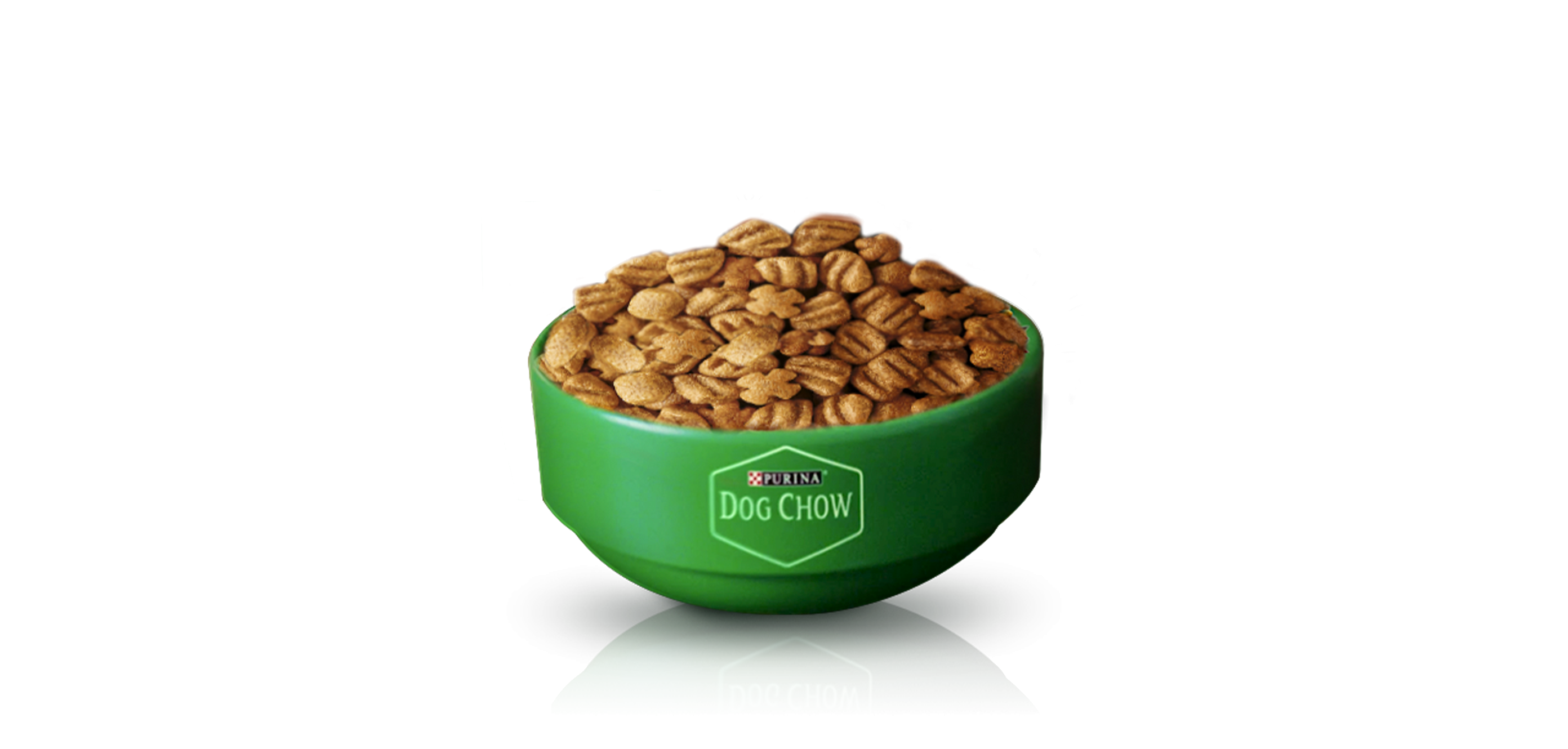 Imagen de plato servido con alimento seco de Dog Chow