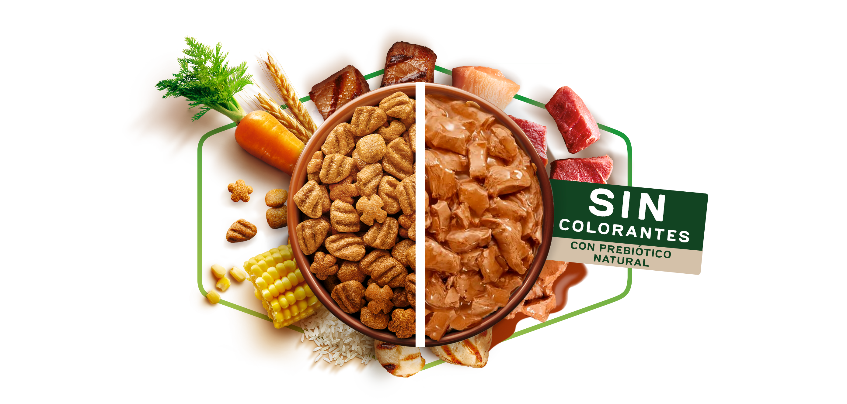 Imagen de plato servido con mitad alimento húmedo y mitad alimento seco de Dog Chow
